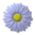 Poishels